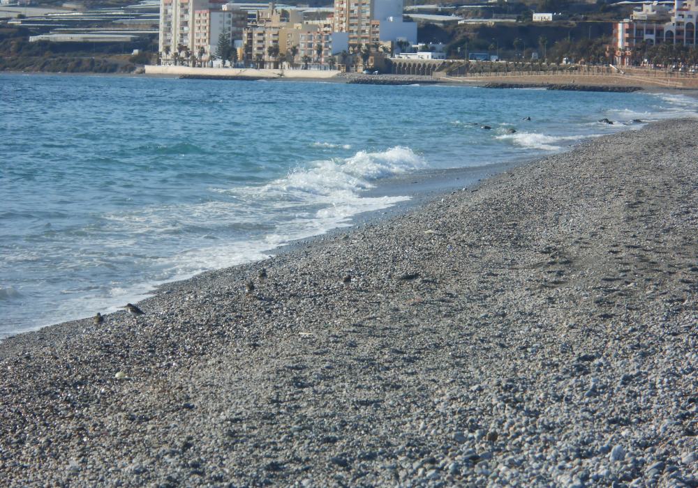 Resultado de imagen de playa carboncillo adra